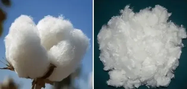 Natural Vs Synthetic cotton Natural Vs Synthetic cotton