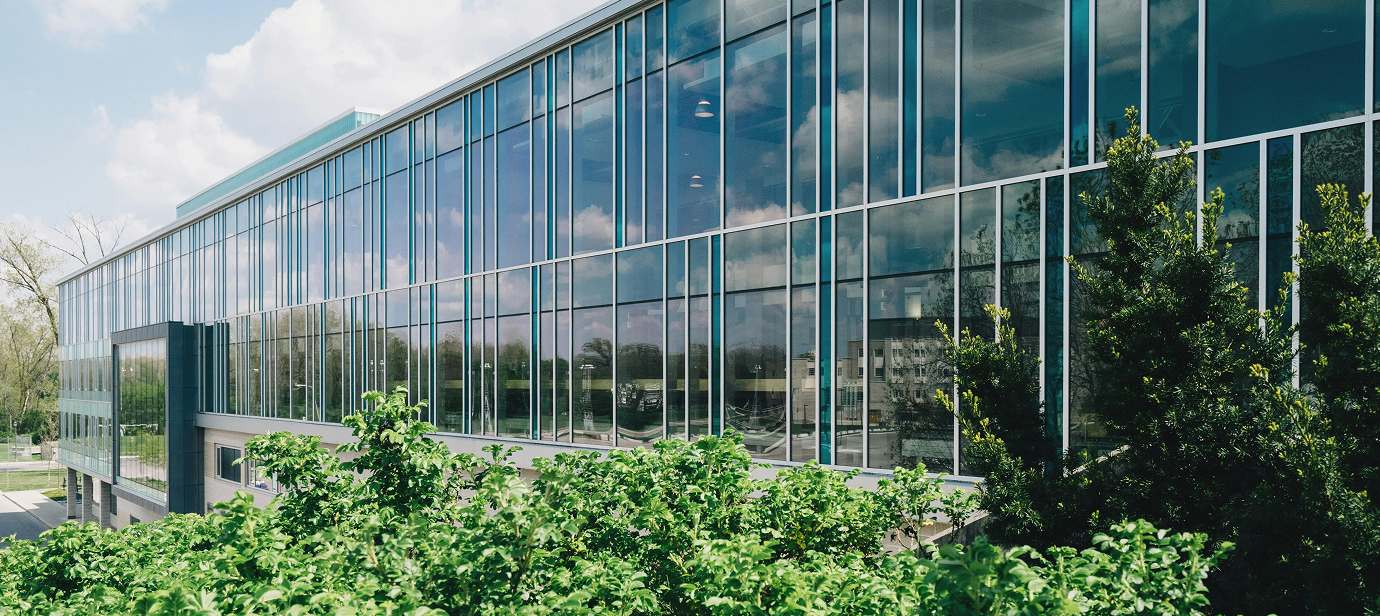 Visual Communication Banner